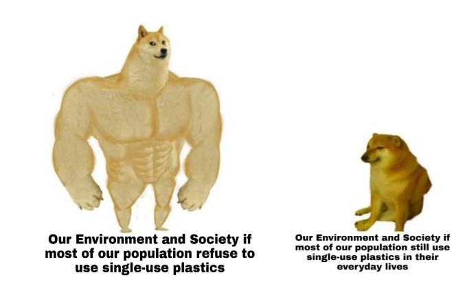Doge Agrees! Refuse Single-use Plastics Now! (TTPC Week 2)