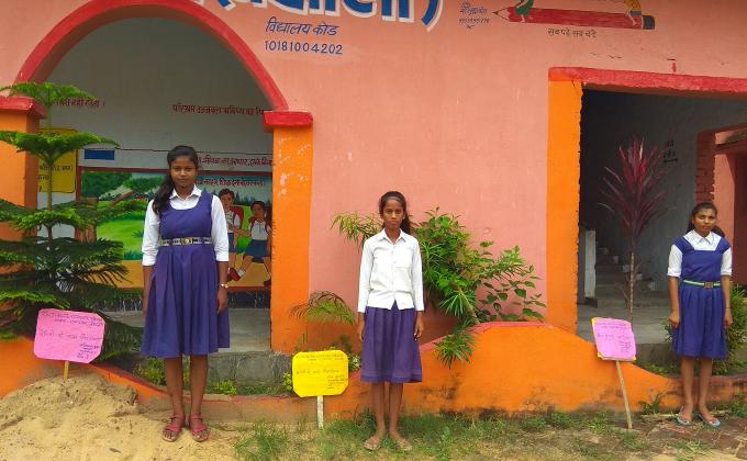 "बालिका सशक्तिकरण एवं बालिका शिक्षा को बढ़ावा देने हेतु सरकारी विद्यालयों में वृक्षारोण अभियान प्रमोद कुमार, प्रखंड साधन सेवी, राजापाकर, जिला वैशाली- सह- जिला सलाहकार ,भारत स्काउट गाइड वैशाली, बिहार , भारत के कुशल नेतृत्व में चलाया जा रहा है।" 