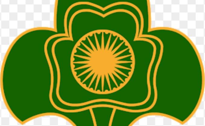 mask distribution program