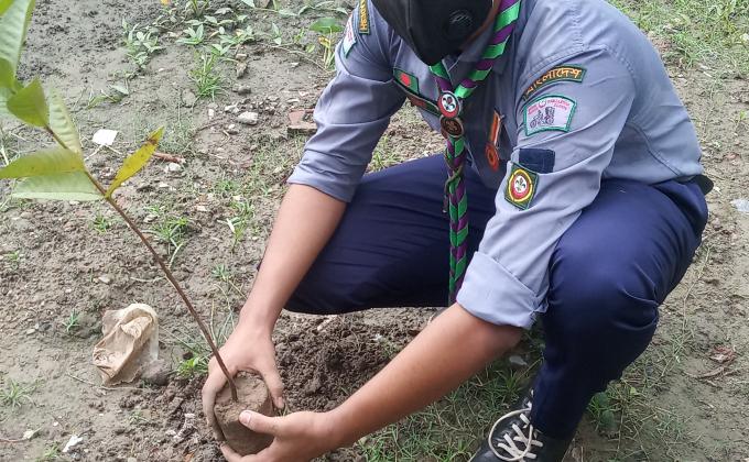 Tree Plantation. 