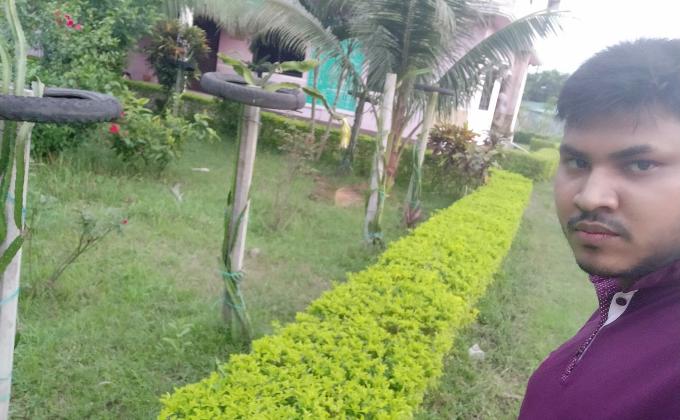 ড্রাগন চাষ