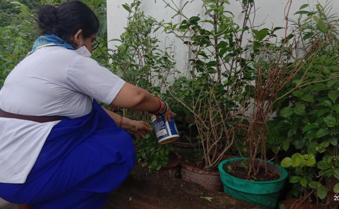 ##championsfor nature##earthtribe##kitchengarden##BSGindia##