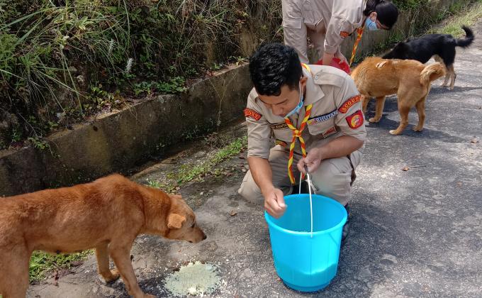 Dog feeding during lockdown due to Covid 19