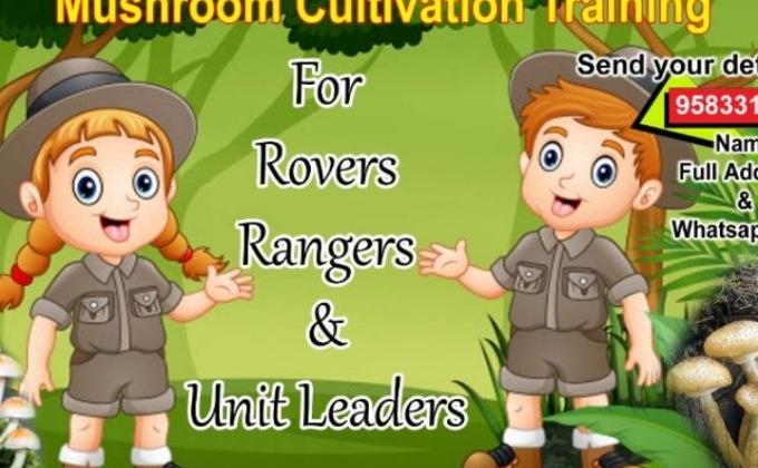 Mushroom Cultivation Training Organized by Odisha State 