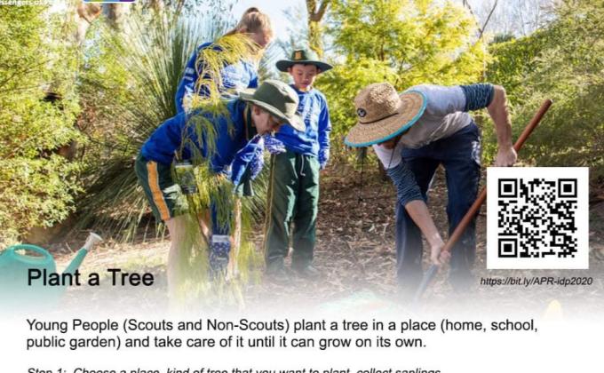 INTERNATIONAL MESSENGER OF PEACE- PLANT A SAPLING