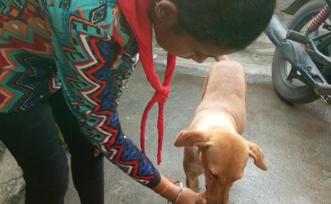 IDP 2020 ACTIVITY 8.7 nd 8.12