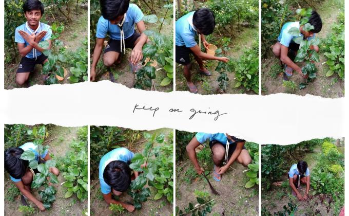 PLANTING PEACE 