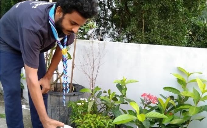 Planting trees on the Roof