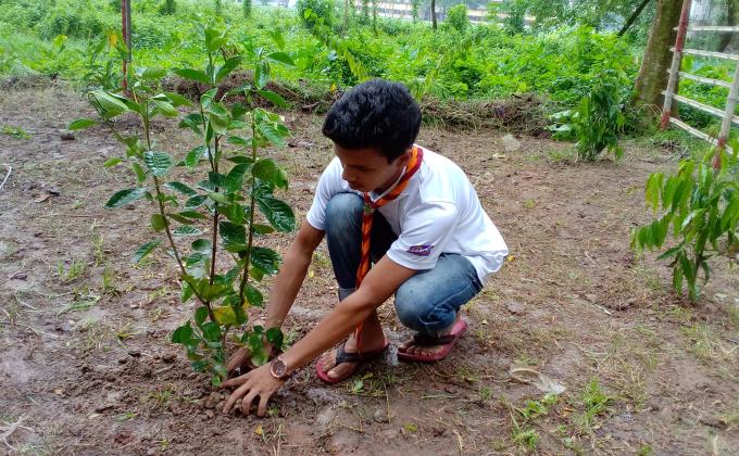 বিশ্ব শান্তি দিবস 
