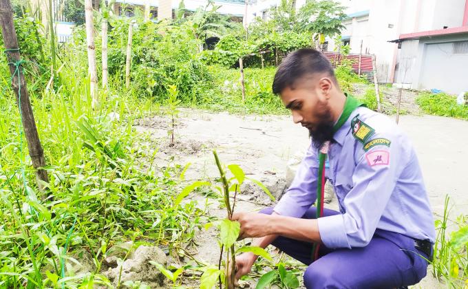 বৃক্ষ রোপণ 