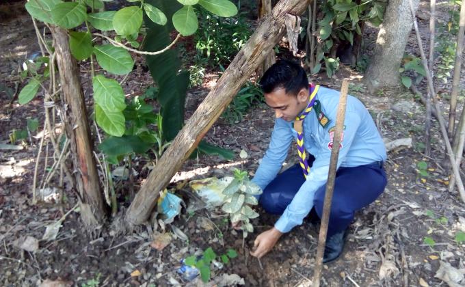 বৃক্ষরোপণ অভিযান 