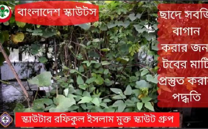 বাড়ির ছাদে সবজি চাষ পর্ব - ২