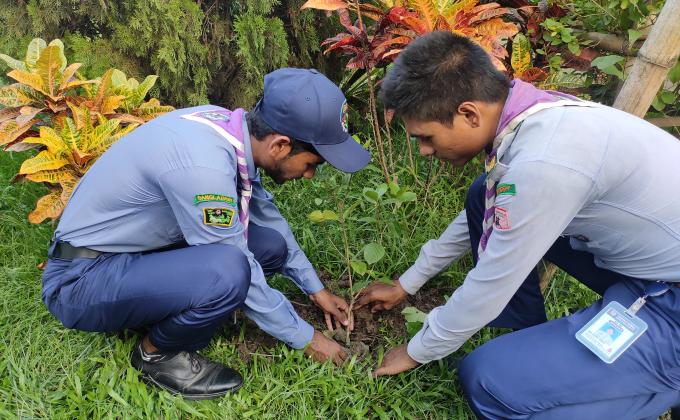 Tree plantation 2020