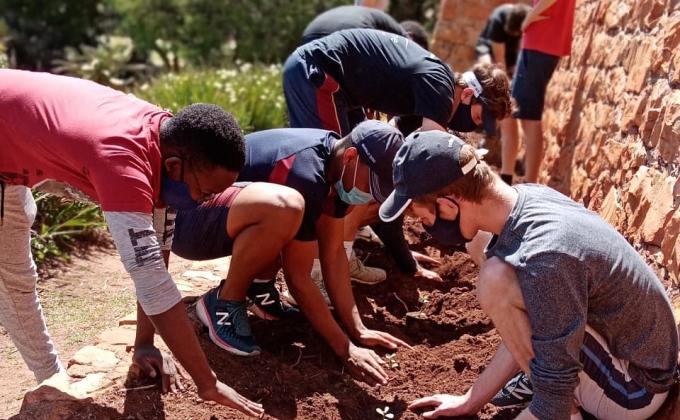 Spekboom farm + education drive