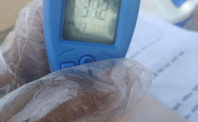 SERVICE IN UP NIRVACHAN [ BY ELECTION] OF MADHYA PRADESH