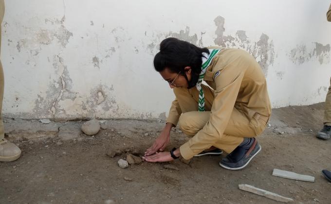 Orange Tree Plantation Project