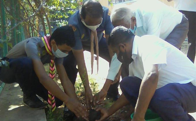 Plant a tree for life