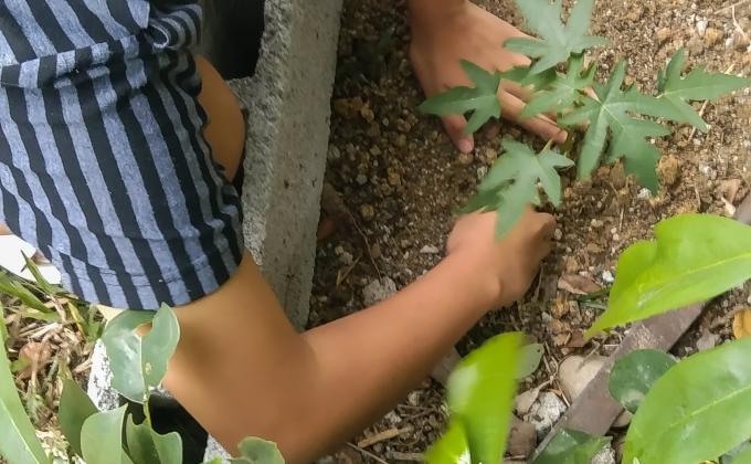 "Tree planting (2021)"