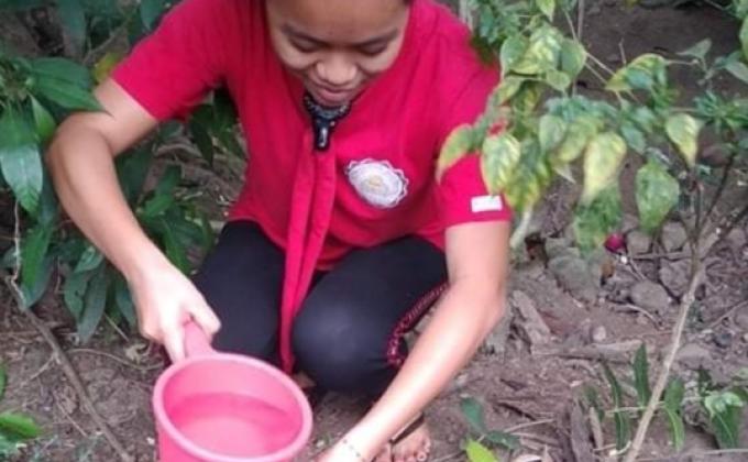 Tree Planting 
