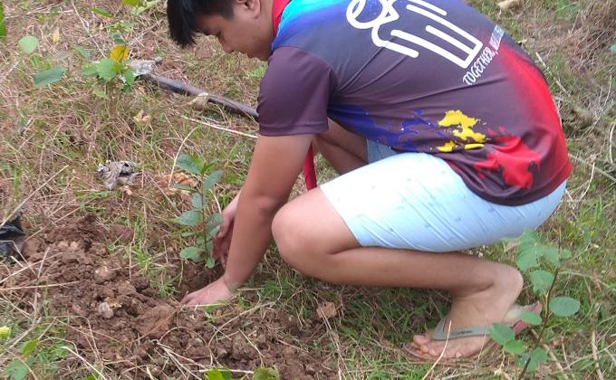 Tree Planting