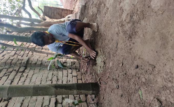 বৃক্ষরোপণ কর্মসূচি