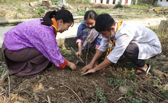 Celebrated Earth hour