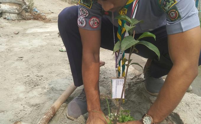 বৃক্ষরোপণ কর্মসূচি  