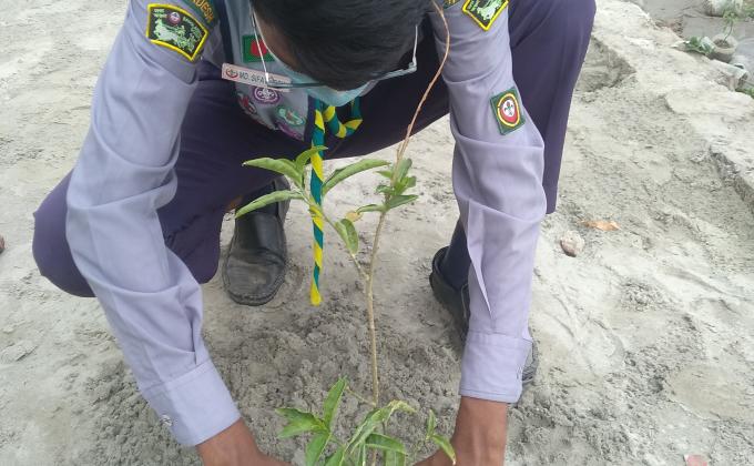 বৃক্ষ রোপণ