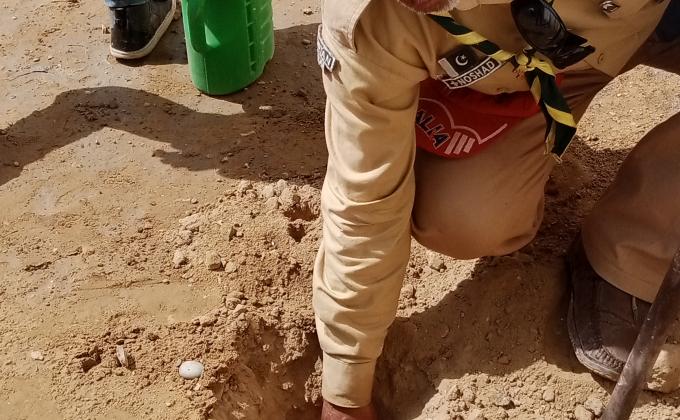 Treeplanting