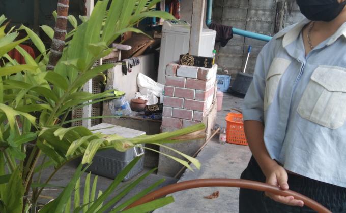 ลดน้ำต้นไม้