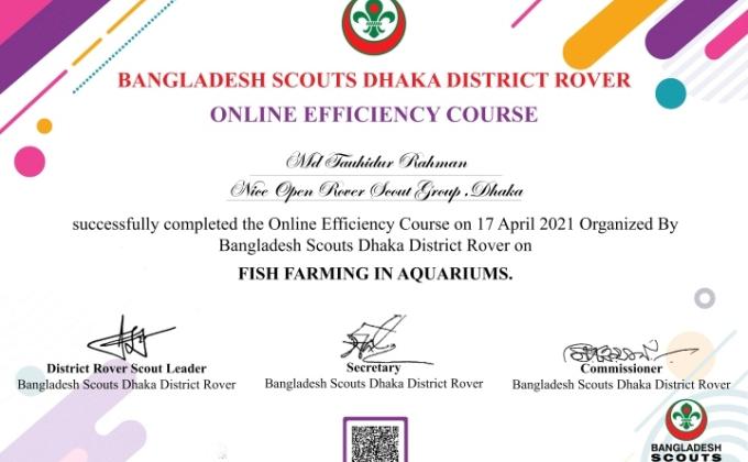 Online Efficiency Course by Bangladesh Scouts Dhaka District Rover