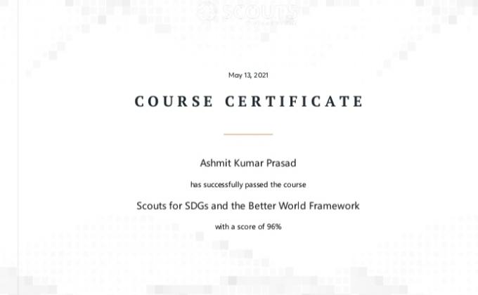 I HAVE COMPLETED SCOUTS SDGS COURSE