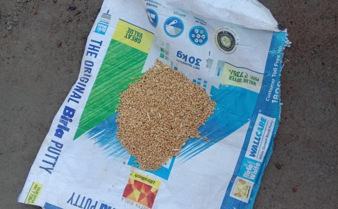 Monalisa Das, sustainable development goals, feed the need, climate action 