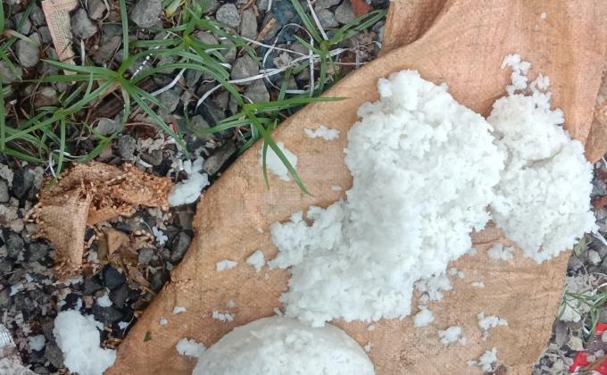 feed the need, climate action, say no to plastics 