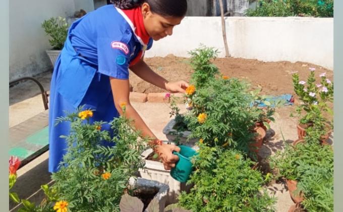 Gardening during lockdowm