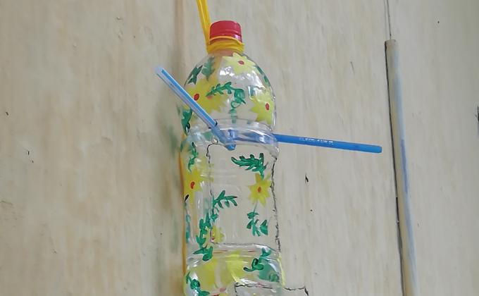 Activitie 6.Friend to Birds (Sankalp) 