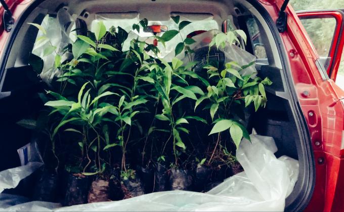 Social Forestery Day