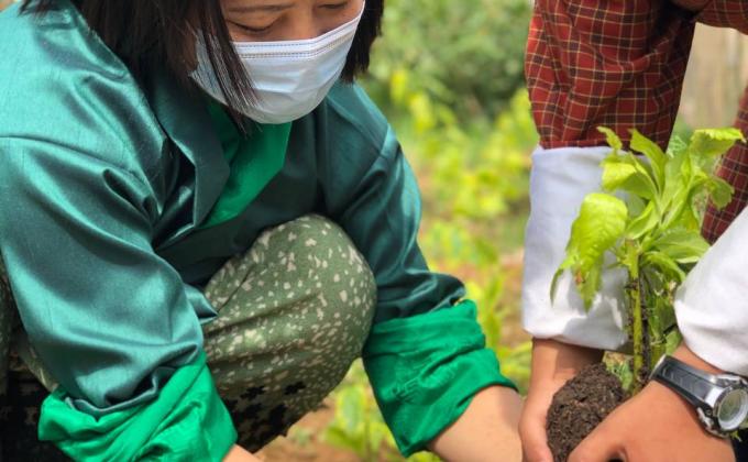 Ecosystem Restoration 