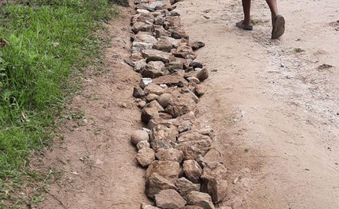 Take  action to preserve the environment.