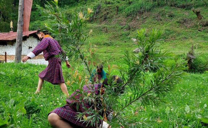 June 2nd celebration 