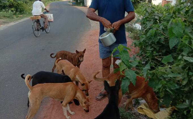 sankalp 2.0,##bsgsankalp, activity friends to birds and animals, life on land, feed the need, climate action, Monalisa Das 