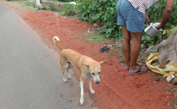 ##feed the hunger##life on land ##climate action ##bsgsankalp, Monalisa Das