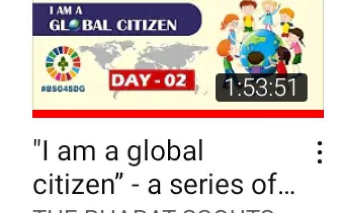 I am global sitigen D1