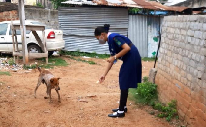 SANKALP 2.0 Activity 6 - Friend To Birds