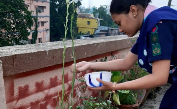 SANKALP 2.0 Activity 5 - Lockdown Garden