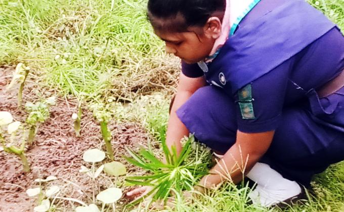 SANKALP 2.0 ACTIVITY 5  LOCKDOWN GARDEN .