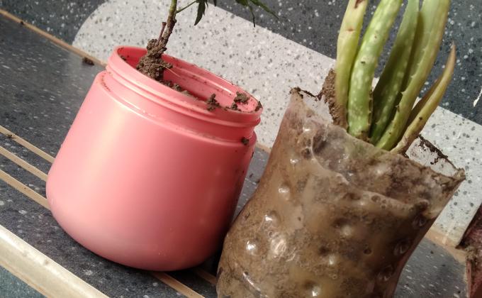 plastic challenge during covid-19