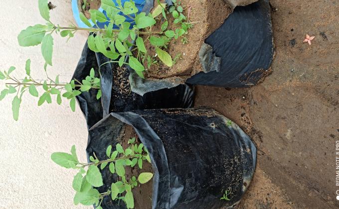 SANKALP 2.0 #Activity