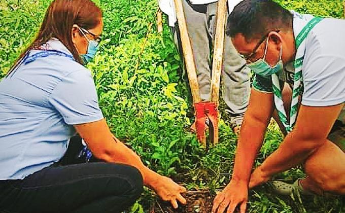 FRUIT BEARING TREE GROWING: EARTH SUSTAINING - NUEVA ECIJA COUNCIL
