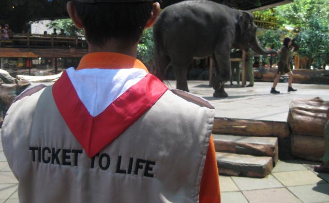 Ticket To Life Indonesia, Education Tour To Safari Zoo Indonesia